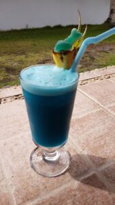 Blue whale shark drink, Donsol, Legazpi, Philippinen