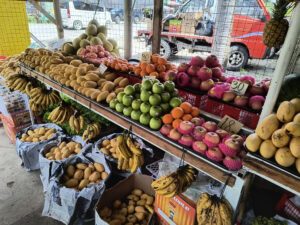 Stand mit Früchten auf den Philippinen